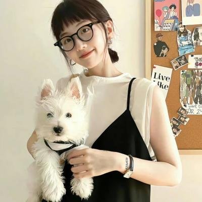 狄仁杰之运河惊龙